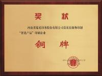河南省瑞光印务奖状