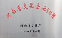 河南省文化企业50强